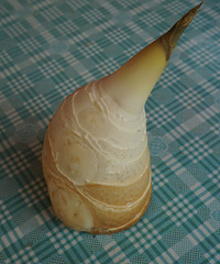 ���������ɽ����ζ������������