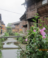 【旅游日记】世外桃源——亲历鲤鱼溪