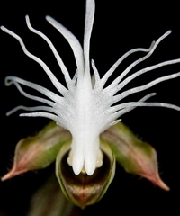 [����]��Щ�����Ļ��䣬��������֣�