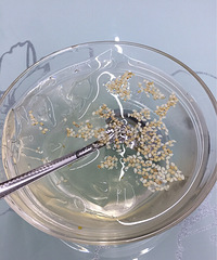 �����ҳԵģ������ҽ���ȥ��