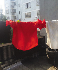 [ʵ��]����ʲô��ɫ�·����ɹ����Ȼ�ǡ�