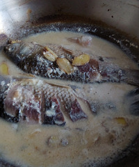 �ڰ�����ʦ�ֳ����ˣ���ζ������������