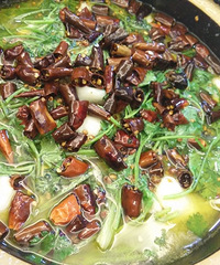 ������ҹ���̻�������Ȥʮ�㣡