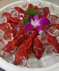 �ߴ��ϵĹ����ͣ���ľ�У�