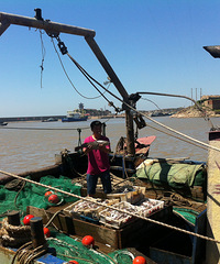 ����ʯ����������