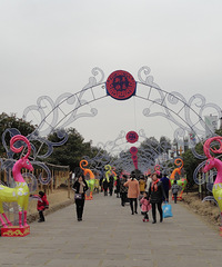 世界湿地日那天,湿地---我们的未来