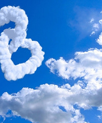 ��������NO.37�������֪��