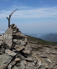 [����]̨�ݸ��أ��У���߷� ���߹���