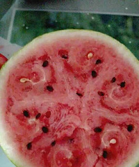 [ʵ��]������Ҳ���Ժ���Ȥ �¼���get