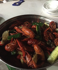 ��һ����Ϻ��ơ�ƣ�����Ի�����Ҫ��