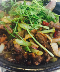 �ܳ�����ʳ������������