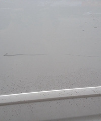 ¶����Ҫ�����绹����㲹 ��˵������ûԭ����