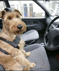 ����Ҫ���������ҳ� ��ֱ��˵���ﲻ����