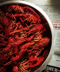 �Ի�ר���������Ϧ�����ﲻһ�㣡