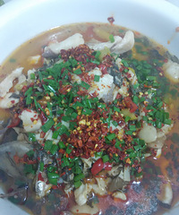 ����ĳ��գ��Ҹ��������ҵ�ζ������