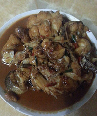 ���������������紫�������³���