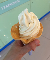 ��һ�γ����ζ�����Ͱ����ˣ�