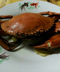 ���з~�ҵ����~