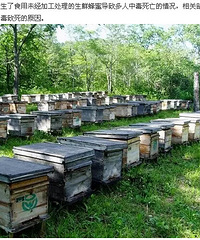 ǧ��Ҫע�⣡ʳ�����ʷ����ѵ��¶����ж���