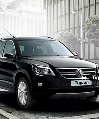 ���� ����ɭ���˺�;��Ҫ��ôѡ��