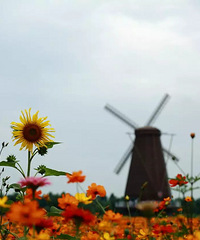 [������]����Ҳ���Ҵ�������ɣ�