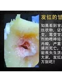 ���ڳԳԳ�ģʽ���������������Щ���ó������ж���ʳ���