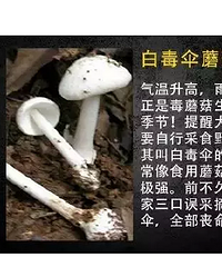 ���ڳԳԳ�ģʽ���������������Щ���ó������ж���ʳ���