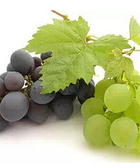 �߲�ˮ����Щ�ܴ�Ƥ�ԣ���Щ����Ƥ�ԣ�