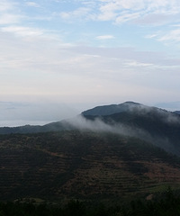 ���»�����������