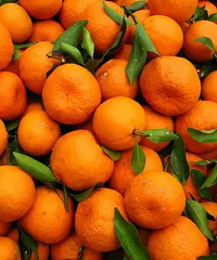 �������ˣ����������������̨��Ҫ��ô��