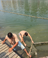 ���������С�����ޣ���ˮ��æ��������Ĳ�Ҫ��