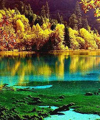 去什么九寨沟,这里比九寨沟更美!(系列一)