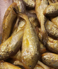 �������еĶ���