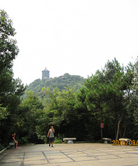 爬爬家门口的路桥石浜山,十年爬一次!