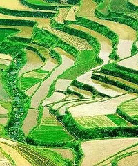 [����]�������� ̨�����µش󼯺�