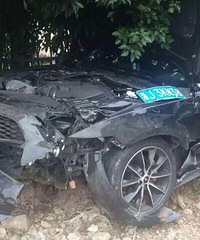 ����һƥ���ֵ�Ұ��