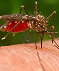 [��]̨�ݳ��ֵǸ��� ������׾�Ȼ����