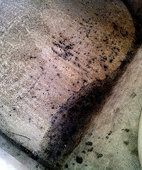 ���ǲ����촰�ǵĻ�������