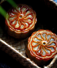 ����ؿ����Ƽ��������ѧ����ɳ�����±���