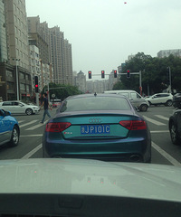 ��������������ɫ