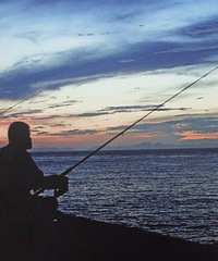 ����ĸ����͵������ʮ��