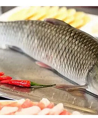 [ʵ��]�ʺ�����Ե��������� ������