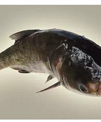 ���ʺ�������Ե��㣡�����㲻֪���������~