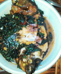 ���������� �����������ȥ��ζ