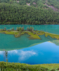 ����Ī����˼��ɾ�