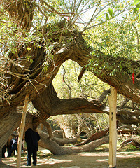 �ܿ��߷壬10.15�ţ�������̫Զ����̨��Ķ�������һ��