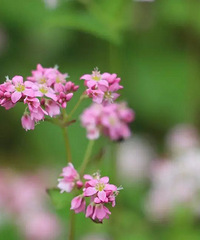 �ɾ�����