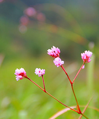 ��������꣬�쬲�����������̨�Ƽ����壡