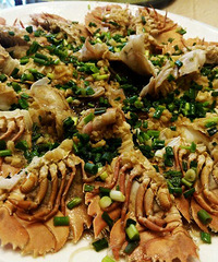 ����ƴ�̣�Ψ���㣡���Լ��Բ�������