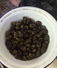 ɹɹ�ҵĳ��մ�Ů��